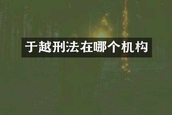 于越刑法在哪个机构