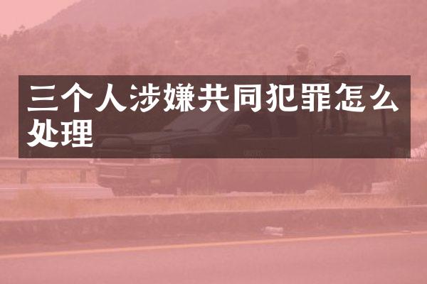 三个人涉嫌共同犯罪怎么处理