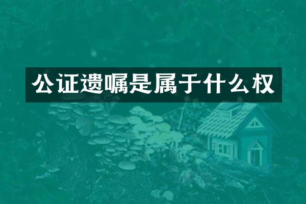 公证遗嘱是属于什么权