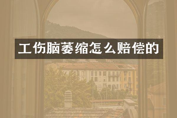 工伤脑萎缩怎么赔偿的