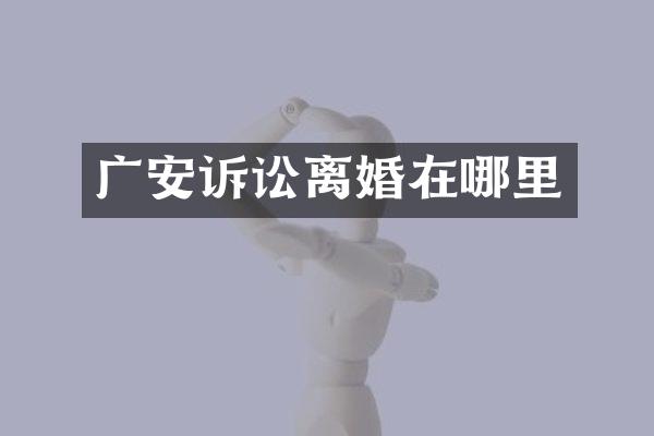 广安诉讼离婚在哪里