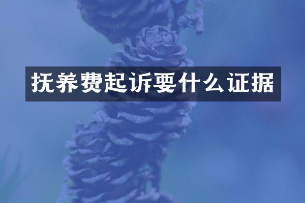 抚养费起诉要什么证据