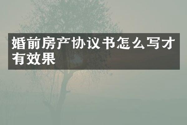 婚前房产协议书怎么写才有效果