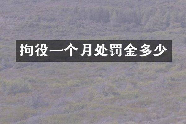 拘役一个月处罚金多少