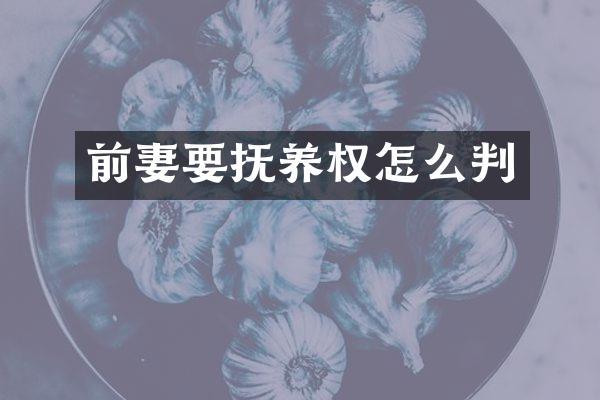 前妻要抚养权怎么判