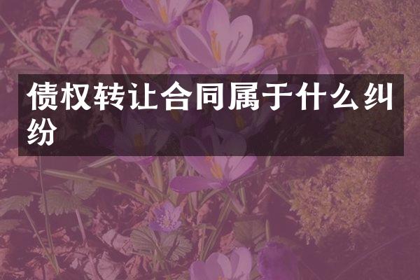 债权转让合同属于什么纠纷