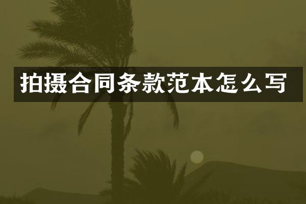 拍摄合同条款范本怎么写