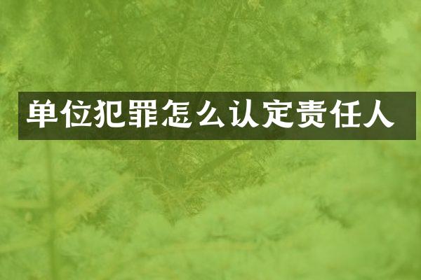 单位犯罪怎么认定责任人