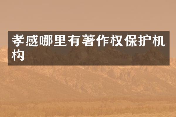 孝感哪里有著作权保护机构