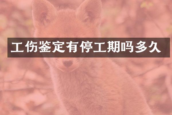 工伤鉴定有停工期吗多久