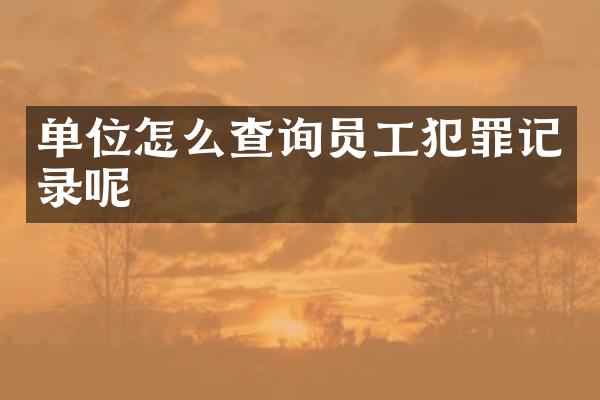 单位怎么查询员工犯罪记录呢