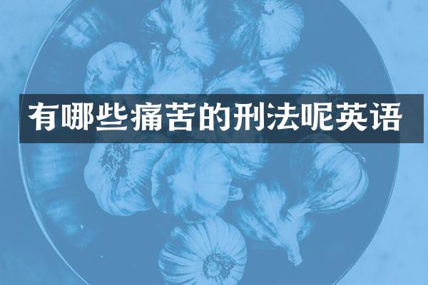 有哪些痛苦的刑法呢英语