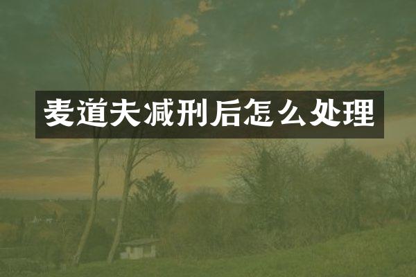 麦道夫减刑后怎么处理
