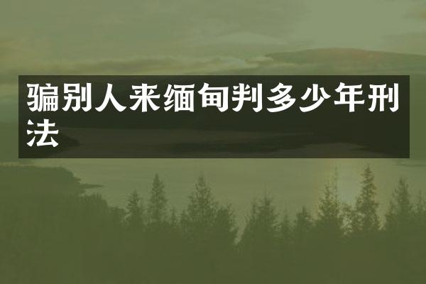 骗别人来缅甸判多少年刑法