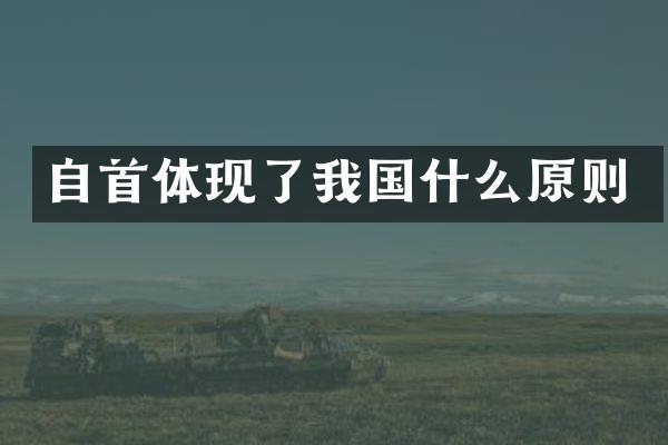 自首体现了我国什么原则