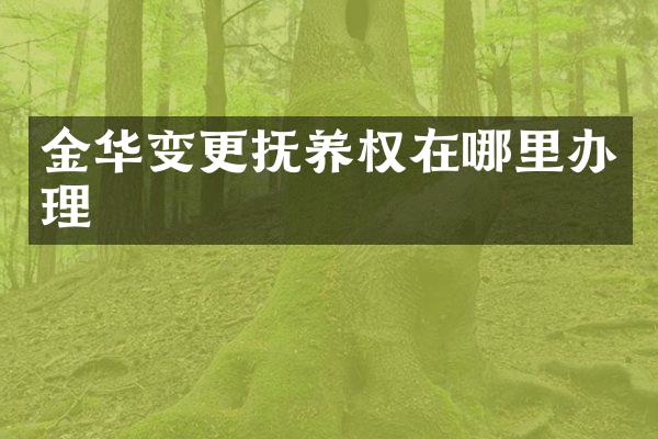 金华变更抚养权在哪里办理