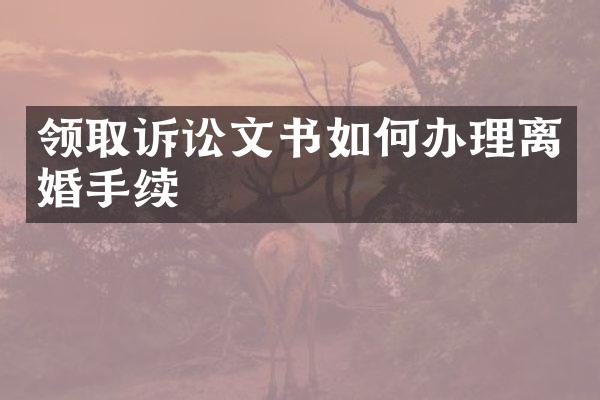 领取诉讼文书如何办理离婚手续