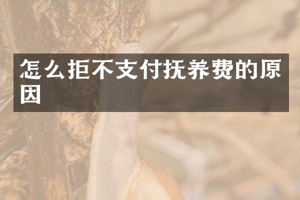 怎么拒不支付抚养费的原因