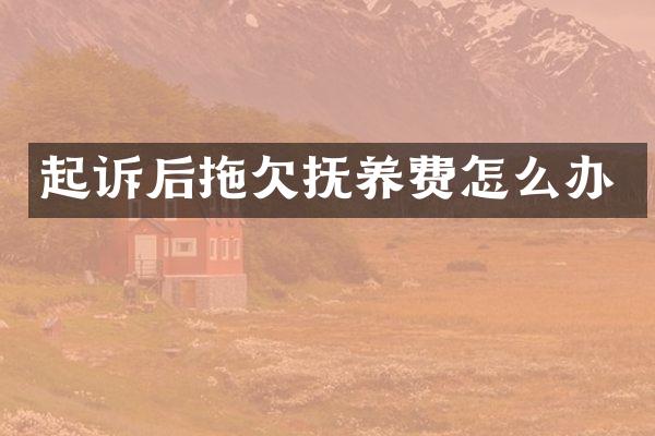起诉后拖欠抚养费怎么办