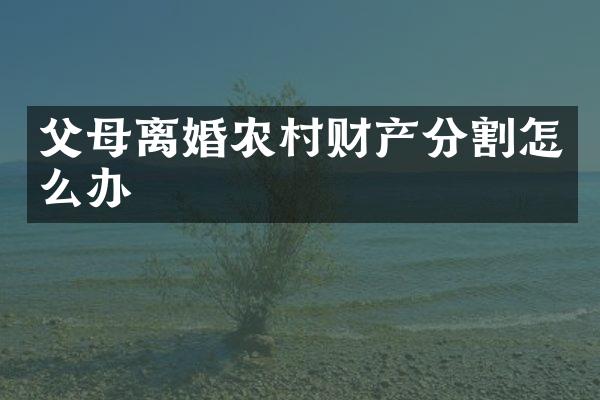 父母离婚农村财产分割怎么办