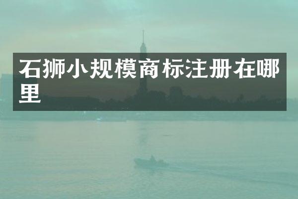 石狮小规模商标注册在哪里