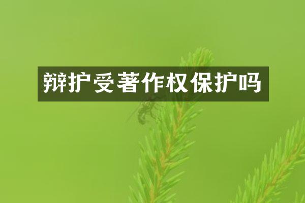 辩护受著作权保护吗