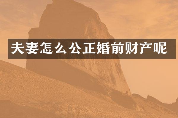 夫妻怎么公正婚前财产呢