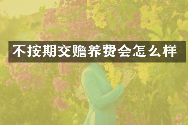 不按期交赡养费会怎么样