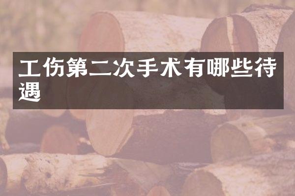 工伤第二次手术有哪些待遇