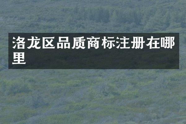 洛龙区品质商标注册在哪里