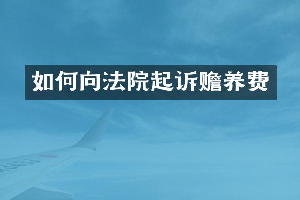 如何向法院起诉赡养费