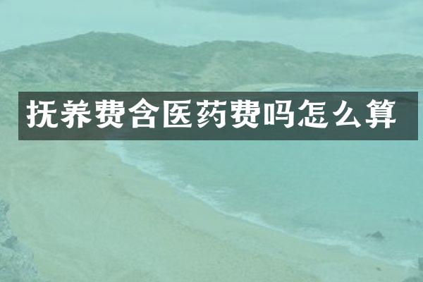 抚养费含医药费吗怎么算