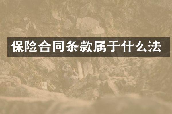 保险合同条款属于什么法