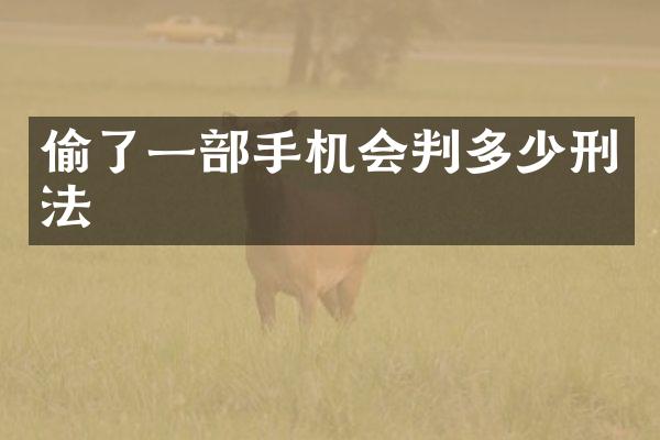 偷了一部手机会判多少刑法