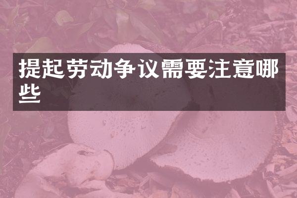 提起劳动争议需要注意哪些