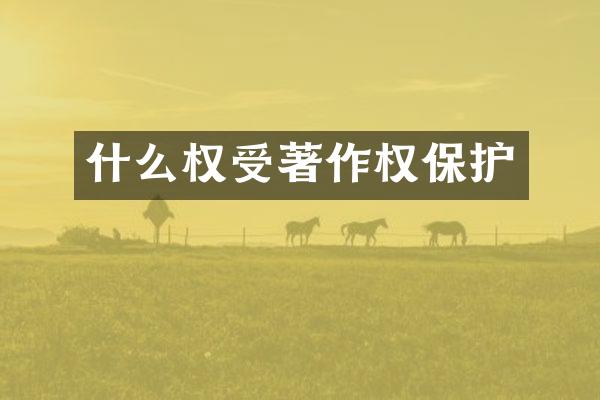 什么权受著作权保护