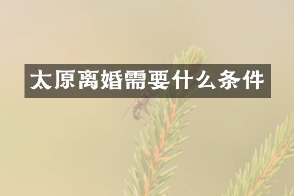 太原离婚需要什么条件