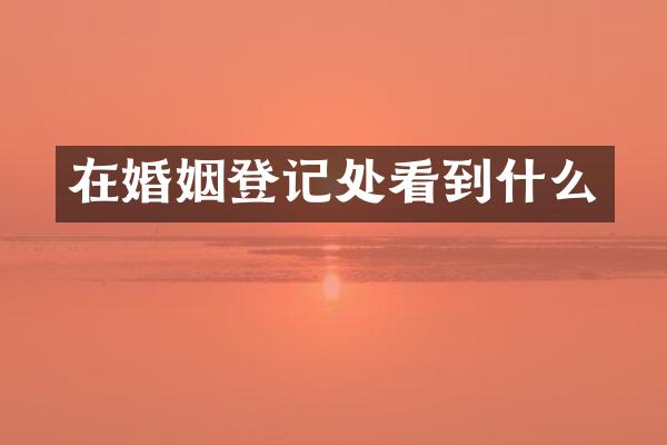 在婚姻登记处看到什么