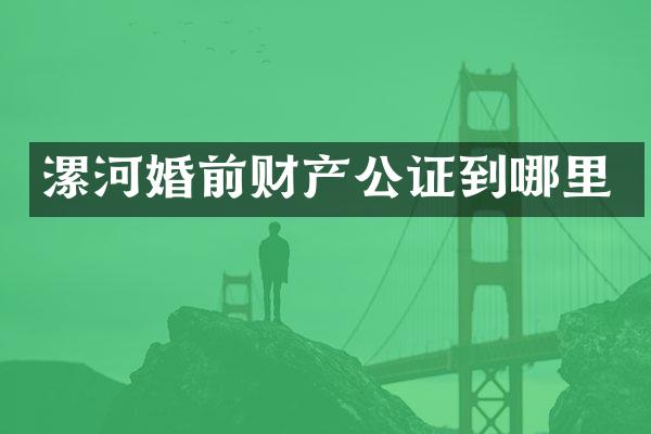漯河婚前财产公证到哪里
