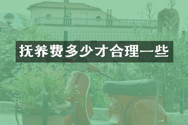 抚养费多少才合理一些