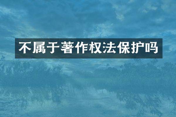 不属于著作权法保护吗