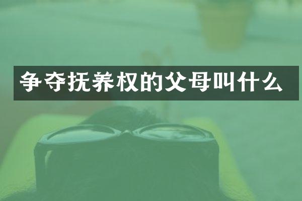 争夺抚养权的父母叫什么