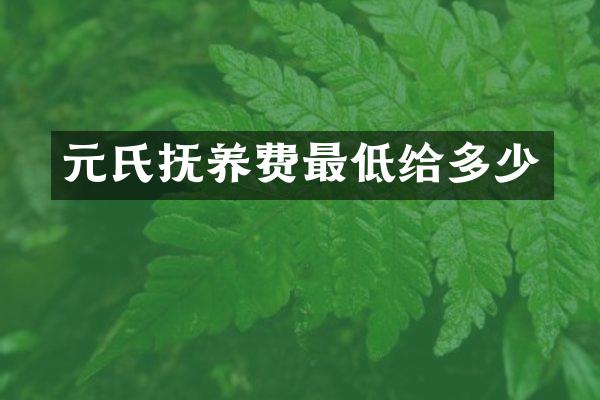 元氏抚养费最低给多少