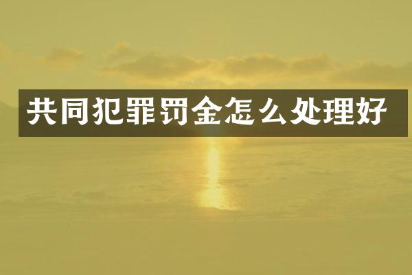 共同犯罪罚金怎么处理好