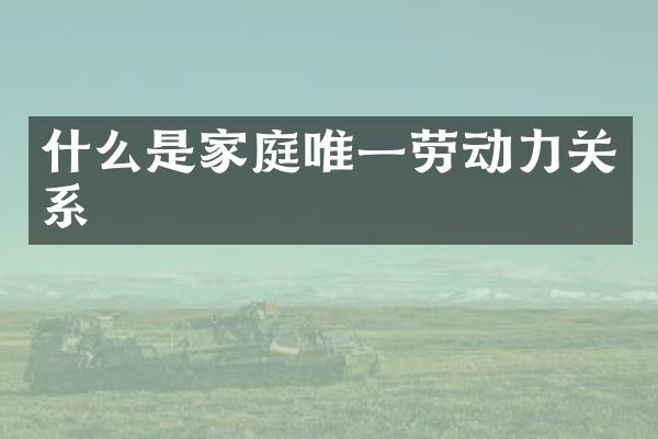 什么是家庭唯一劳动力关系