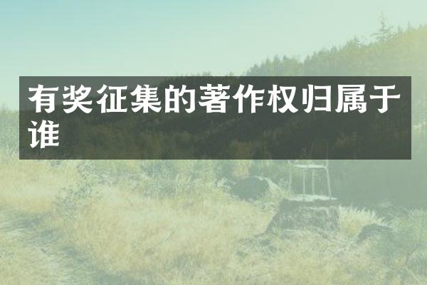 有奖征集的著作权归属于谁