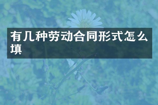 有几种劳动合同形式怎么填