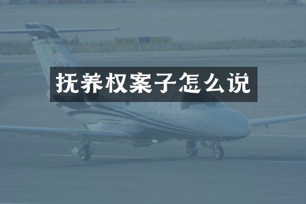 抚养权案子怎么说