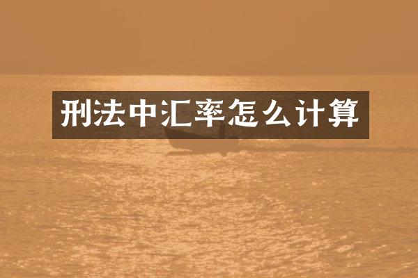 刑法中汇率怎么计算