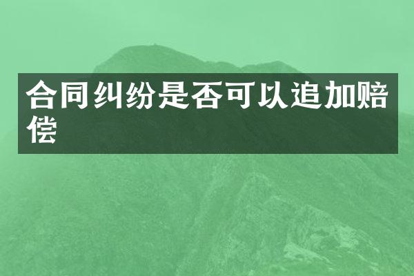 合同纠纷是否可以追加赔偿